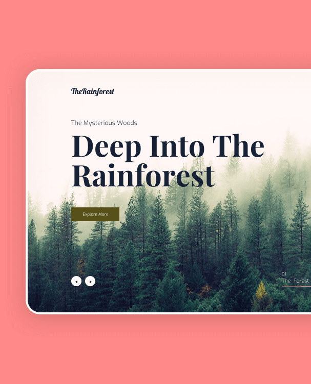the rainforest